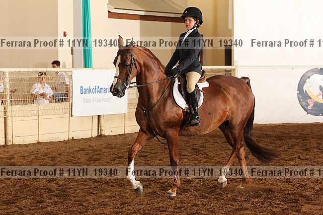 Proof 11yn_19340