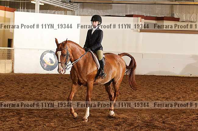 Proof 11yn_19344