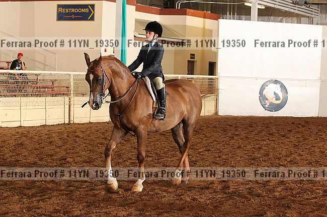 Proof 11yn_19350