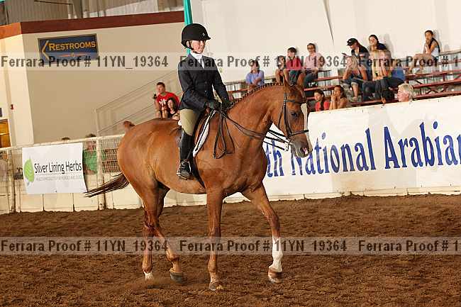 Proof 11yn_19364