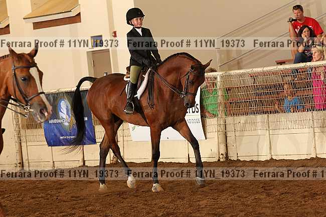 Proof 11yn_19373