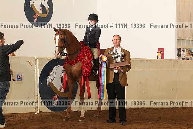 Proof 11yn_19396