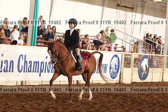 Proof 11yn_19402