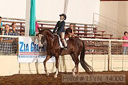11yn_14000 proof