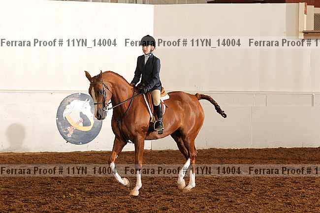 Proof 11yn_14004