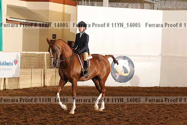 Proof 11yn_14005