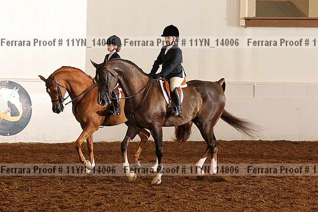 Proof 11yn_14006