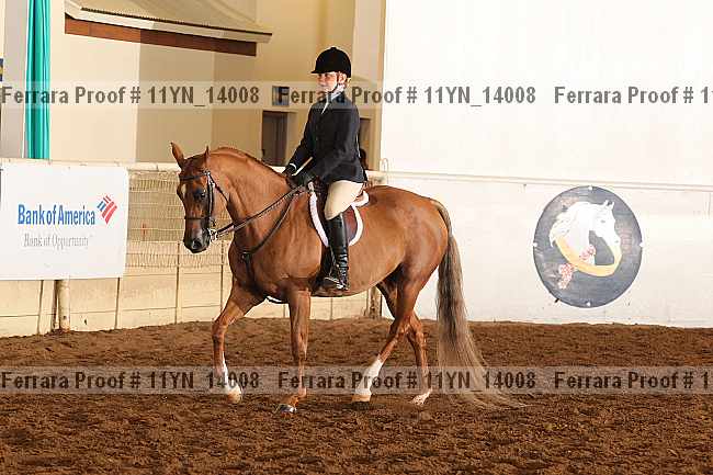 Proof 11yn_14008
