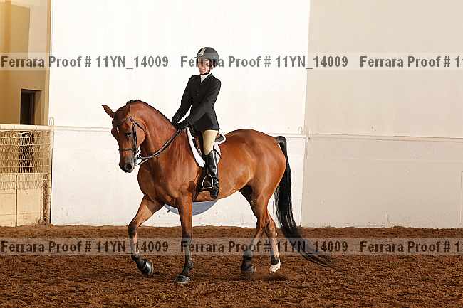 Proof 11yn_14009