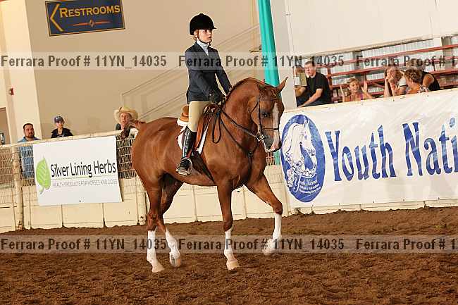 Proof 11yn_14035