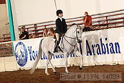 11yn_14039 proof