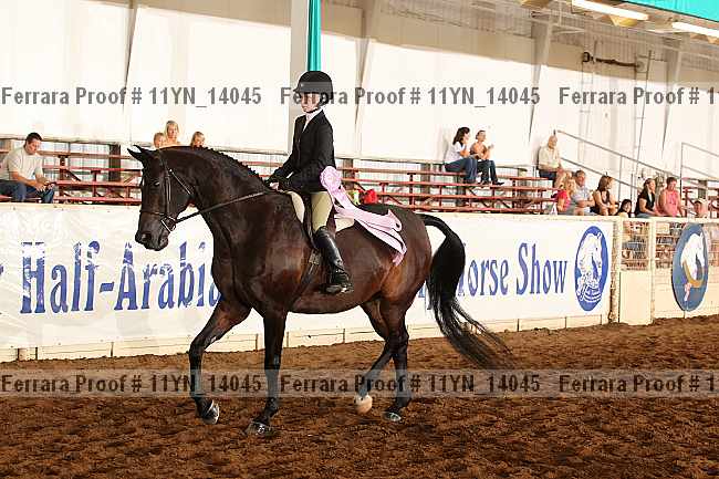 Proof 11yn_14045