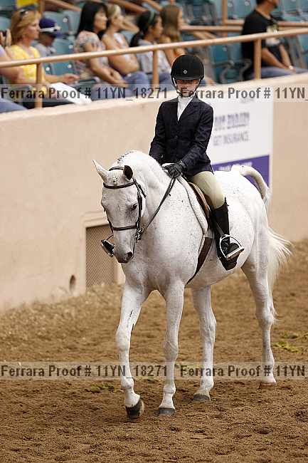 Proof 11yn_18271