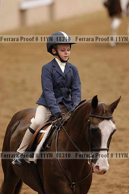 Proof 11yn_18310
