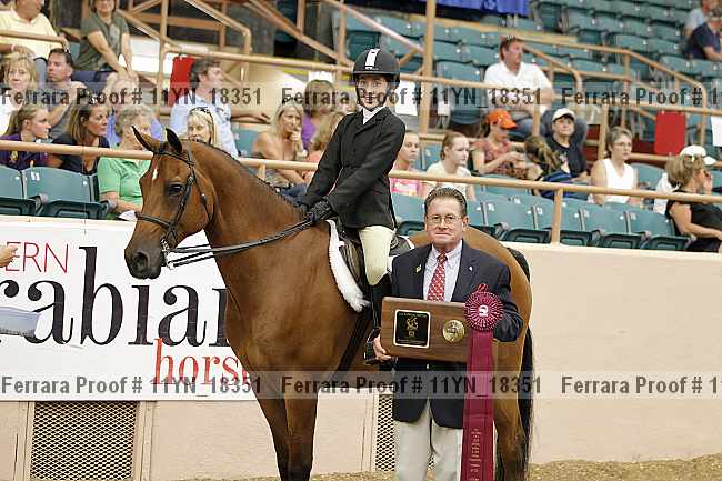 Proof 11yn_18351