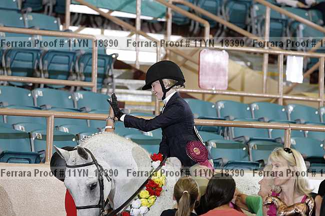 Proof 11yn_18390
