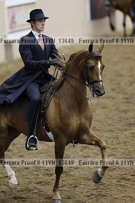 Proof 11yn_13649