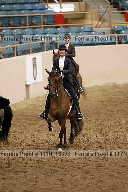 Proof 11yn_13693