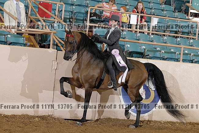 Proof 11yn_13705