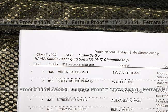 Proof 11yn_26351