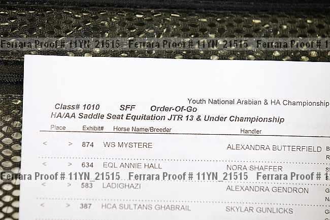 Proof 11yn_21515