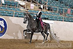 11yn_21697 proof