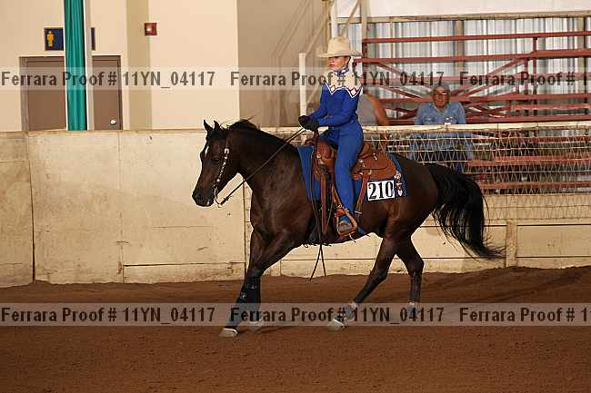 Proof 11yn_04117
