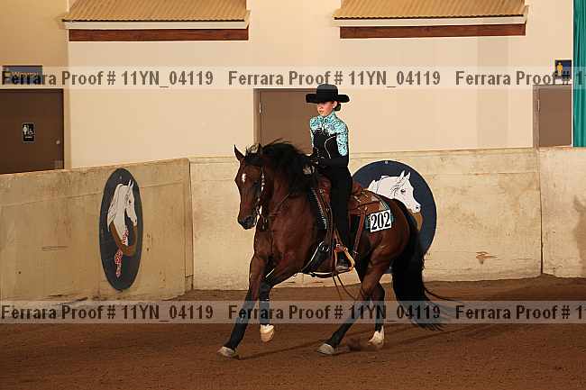 Proof 11yn_04119