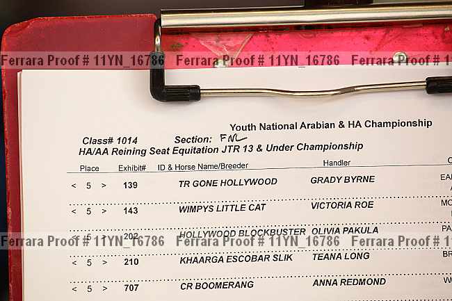 Proof 11yn_16786