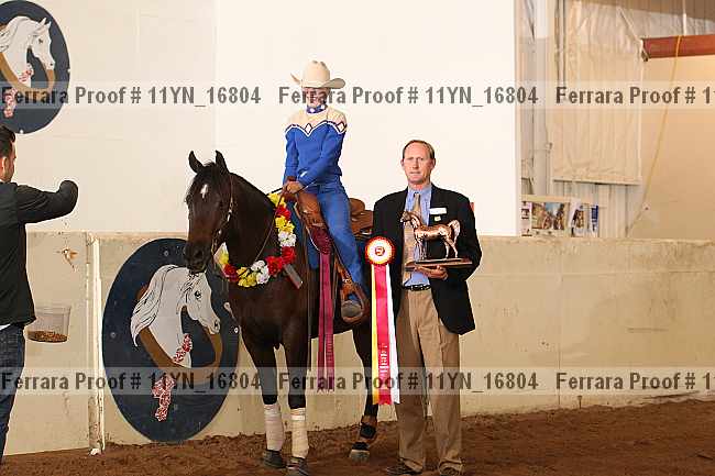 Proof 11yn_16804