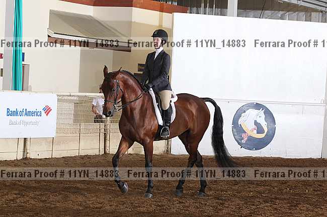 Proof 11yn_14883