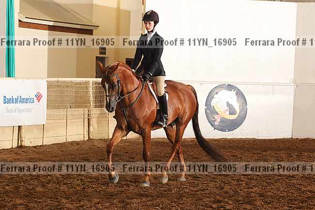 Proof 11yn_16905