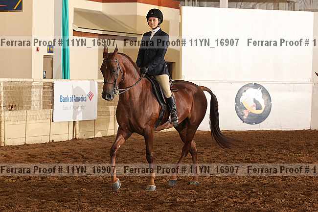 Proof 11yn_16907