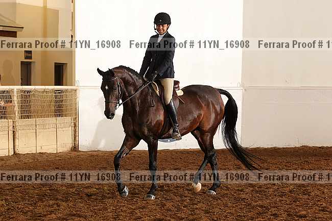 Proof 11yn_16908