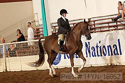 11yn_16952 proof