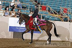11yn_22861 proof