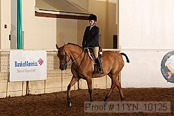 11yn_10125 proof