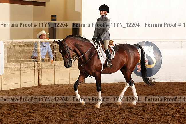 Proof 11yn_12204