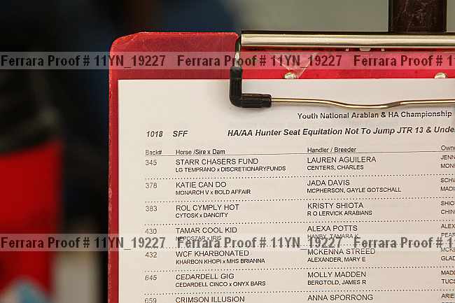 Proof 11yn_19227