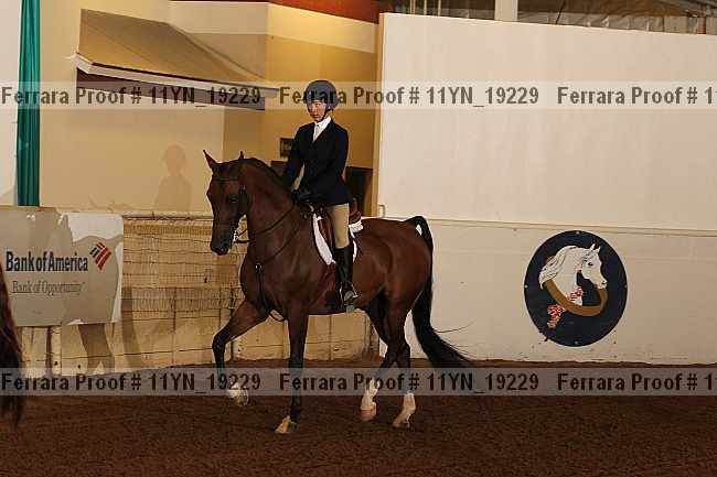 Proof 11yn_19229