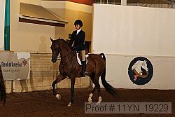 11yn_19229 proof