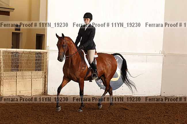 Proof 11yn_19230