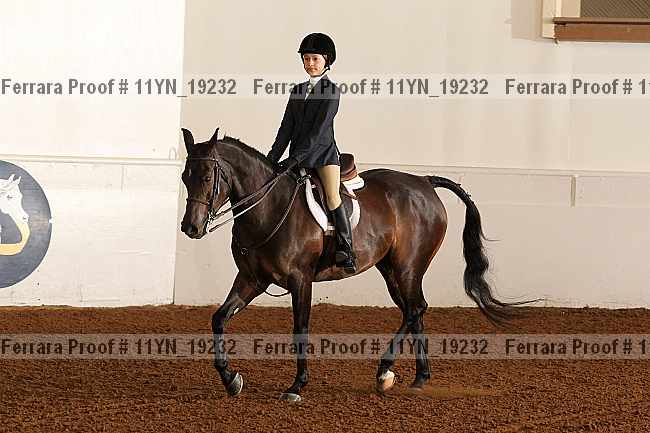 Proof 11yn_19232