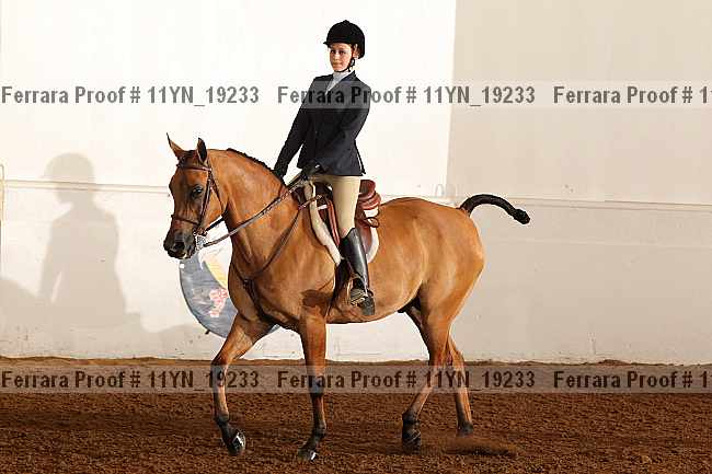 Proof 11yn_19233