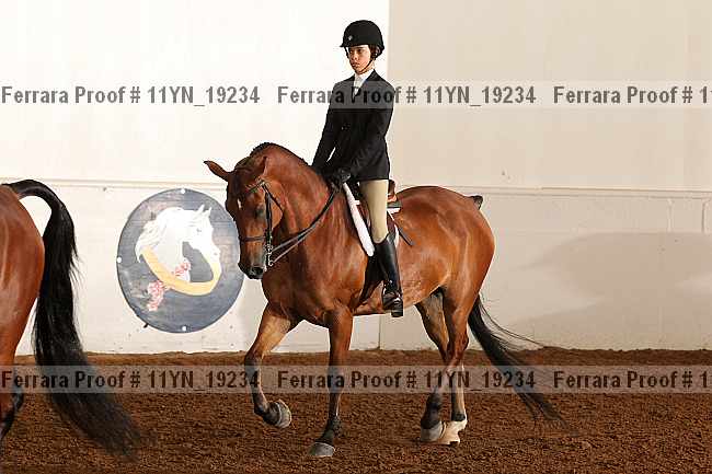 Proof 11yn_19234