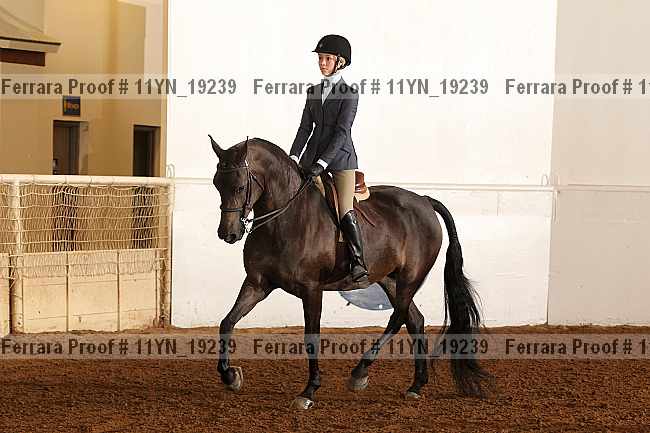 Proof 11yn_19239
