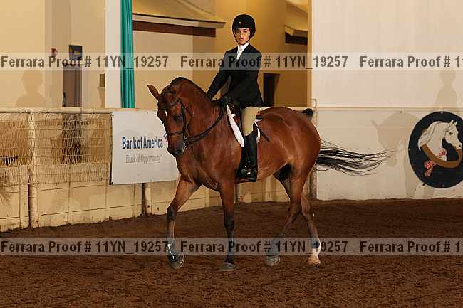 Proof 11yn_19257