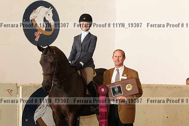 Proof 11yn_19307