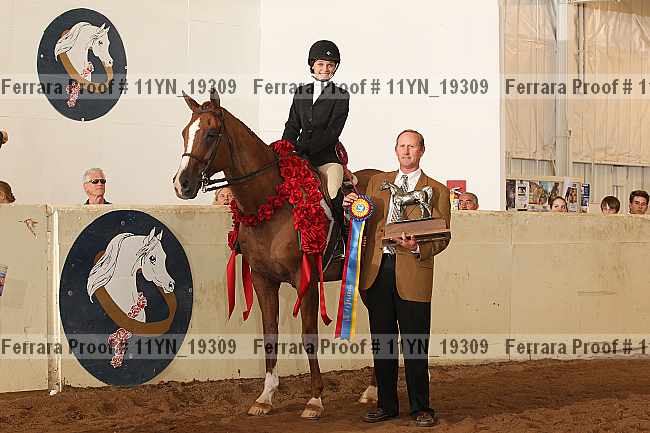Proof 11yn_19309
