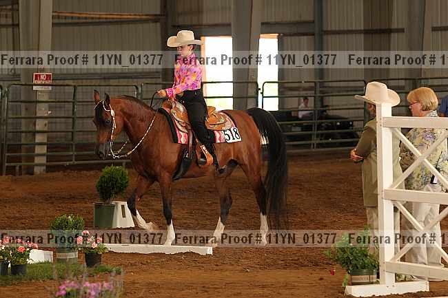 Proof 11yn_01377